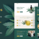 Calmes - Medical Marijuana & Coffeeshop WordPress Theme