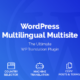 WordPress Multilingual Multisite