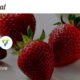 Perennial - Store WooCommerce WordPress for Organic Food Theme