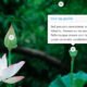 jQuery Hotspot Plugin with Slideshow