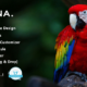 Mina - Pet Shop PrestaShop Theme