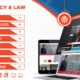 Democracy Political - Lawyer WordPress Theme
