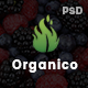 Origanico – Organic Online Store PSD Template